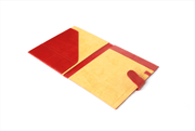 CARPETA TIPO FOLDER